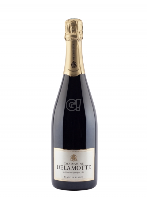 Champagne Delamotte Blanc de Blancs Magnum | Champagne online