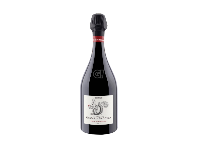 Pinot d'Écureuil - Tome I